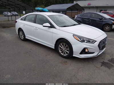 5NPE24AF7KH****** 2019 Hyundai Sonata