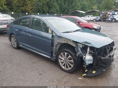 5NPE34AF0GH****** 2016 Hyundai Sonata