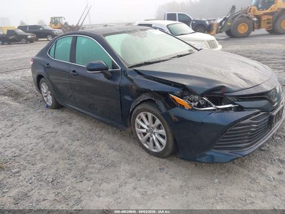 4T1B11HK6KU****** 2019 Toyota Camry