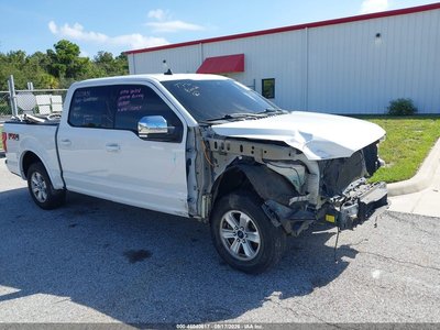 1FTEW1E43KF****** 2019 Ford F-150