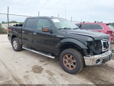 1FTFW1EV0AF****** 2010 Ford F-150