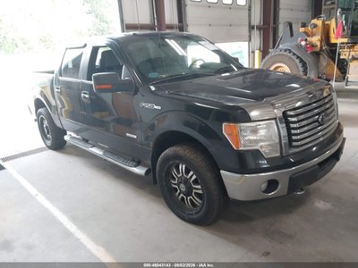 1FTFW1ETXCF****** 2012 Ford F-150