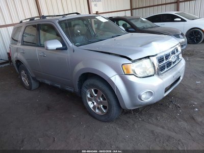 1FMCU0E77BK****** 2011 Ford Escape
