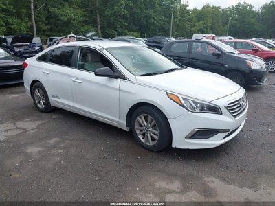 5NPE24AF2HH****** 2017 Hyundai Sonata