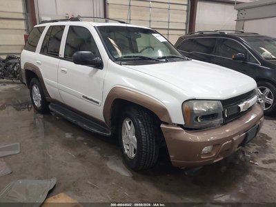 1GNDT13SX22****** 2002 Chevrolet Trailblazer
