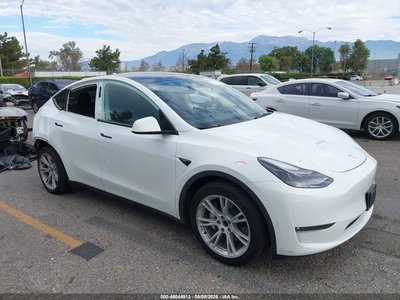7SAYGAEE0PF****** 2023 Tesla Model Y