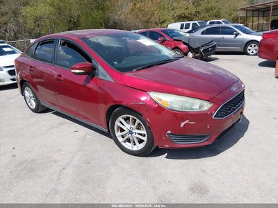 1FADP3F22GL****** 2016 Ford Focus
