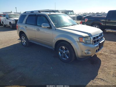 1FMCU0EG8AK****** 2010 Ford Escape