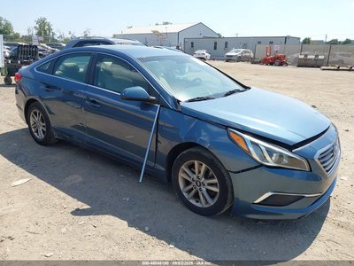5NPE24AF0GH****** 2016 Hyundai Sonata