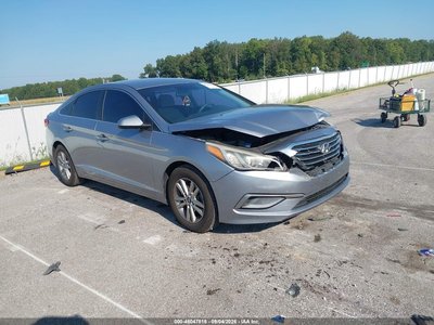 5NPE24AF5GH****** 2016 Hyundai Sonata