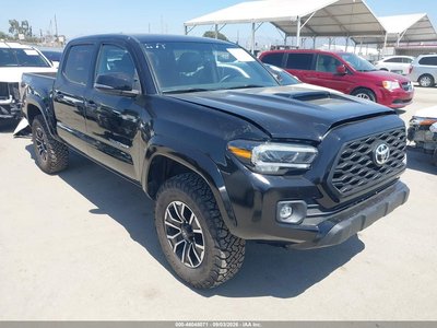 3TMCZ5AN9PM****** 2023 Toyota Tacoma