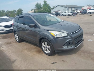 1FMCU0GX1EU****** 2014 Ford Escape