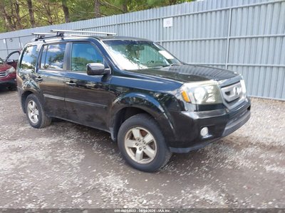 5FNYF48639B****** 2009 Honda Pilot