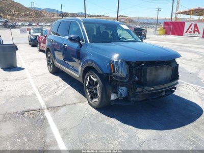 5XYP64GC9RG****** 2024 Kia Telluride