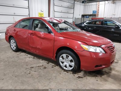 4T4BE46K89R****** 2009 Toyota Camry