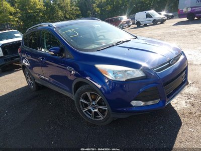 1FMCU0JXXEU****** 2014 Ford Escape
