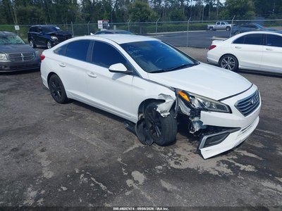 5NPE24AFXGH****** 2016 Hyundai Sonata