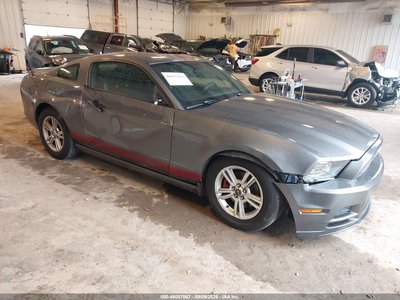 1ZVBP8AM7D5****** 2013 Ford Mustang