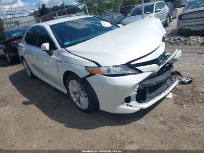 4T1F31AKXLU****** 2020 Toyota Camry