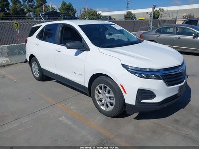 3GNAXHEG2RL****** 2024 Chevrolet Equinox
