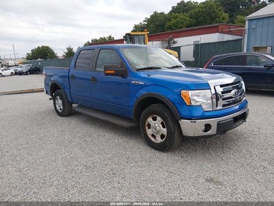 1FTFW1EVXAK****** 2010 Ford F-150