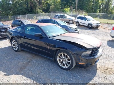 1ZVBP8AM5B5****** 2011 Ford Mustang