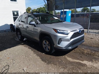 2T3RWRFVXRW****** 2024 Toyota RAV4 Hybrid