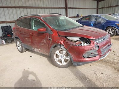 1FMCU9GX6EU****** 2014 Ford Escape