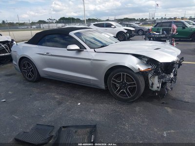 1FATP8UH6K5****** 2019 Ford Mustang
