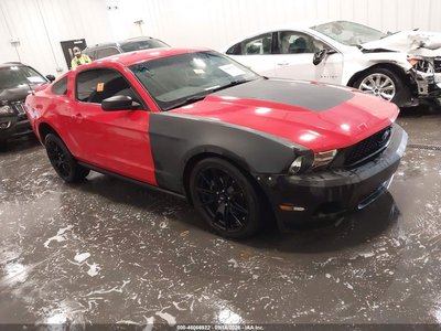 1ZVBP8AN2A5****** 2010 Ford Mustang