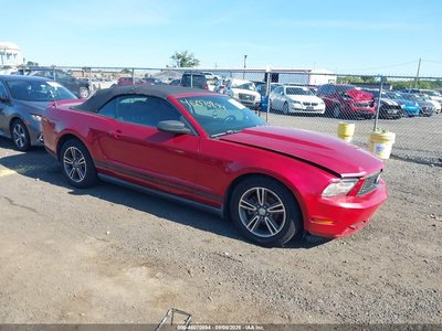 1ZVBP8EN2A5****** 2010 Ford Mustang