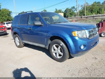 1FMCU03719K****** 2009 Ford Escape