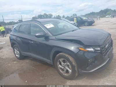 5NMJBCDE7RH****** 2024 Hyundai Tucson