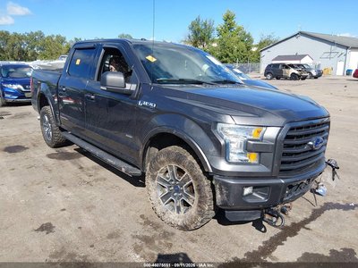 1FTEW1EG4FF****** 2015 Ford F-150