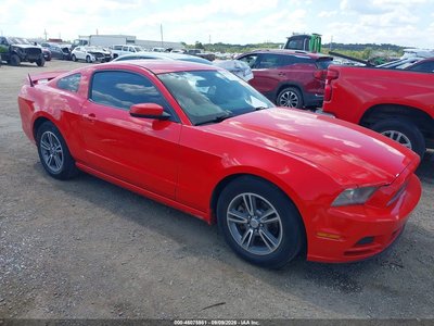 1ZVBP8AM5D5****** 2013 Ford Mustang