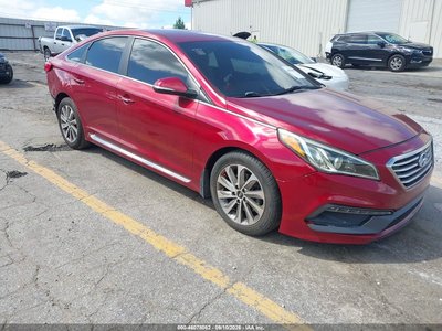 5NPE34AF7GH****** 2016 Hyundai Sonata