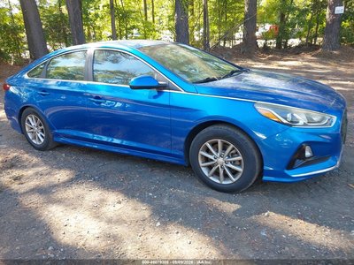 5NPE24AF6JH****** 2018 Hyundai Sonata