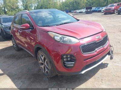 KNDPR3A69H7****** 2017 Kia Sportage