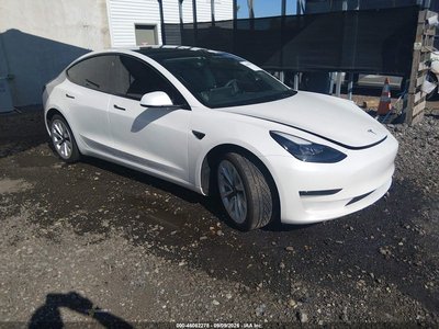 5YJ3E1EA4PF****** 2023 Tesla Model 3
