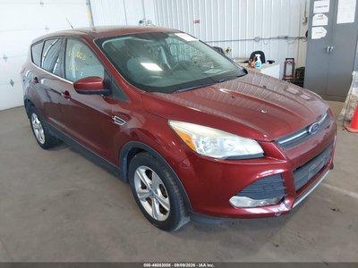 1FMCU0G93EU****** 2014 Ford Escape