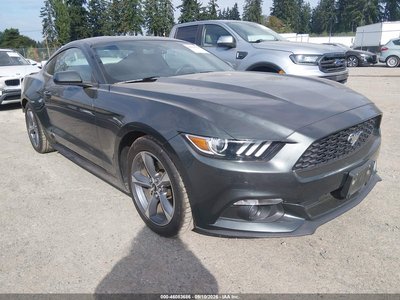 1FA6P8AM6F5****** 2015 Ford Mustang
