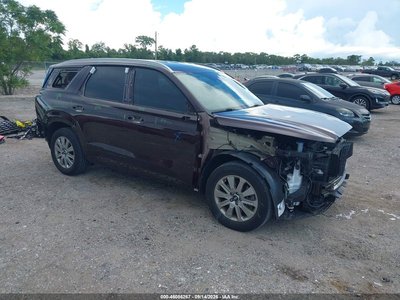 KM8R2DGE9RU****** 2024 Hyundai Palisade