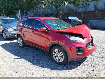 KNDPMCAC8K7****** 2019 Kia Sportage