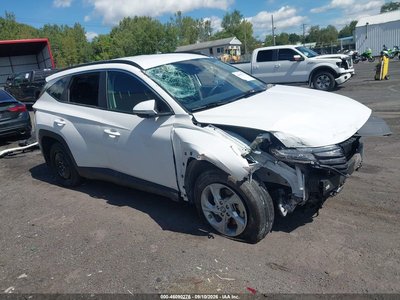 5NMJBCAEXPH****** 2023 Hyundai Tucson