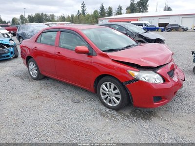 1NXBU40E69Z****** 2009 Toyota Corolla