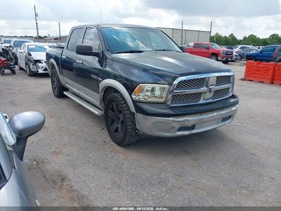 1D7RB1CT0AS****** 2010 Dodge Ram 1500