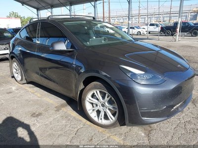 7SAYGDED8RF****** 2024 Tesla Model Y