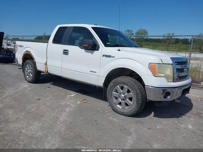 1FTFX1ET5DK****** 2013 Ford F-150