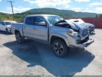 3TMAZ5CN5KM****** 2019 Toyota Tacoma