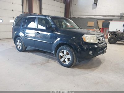 5FNYF4H52BB****** 2011 Honda Pilot
